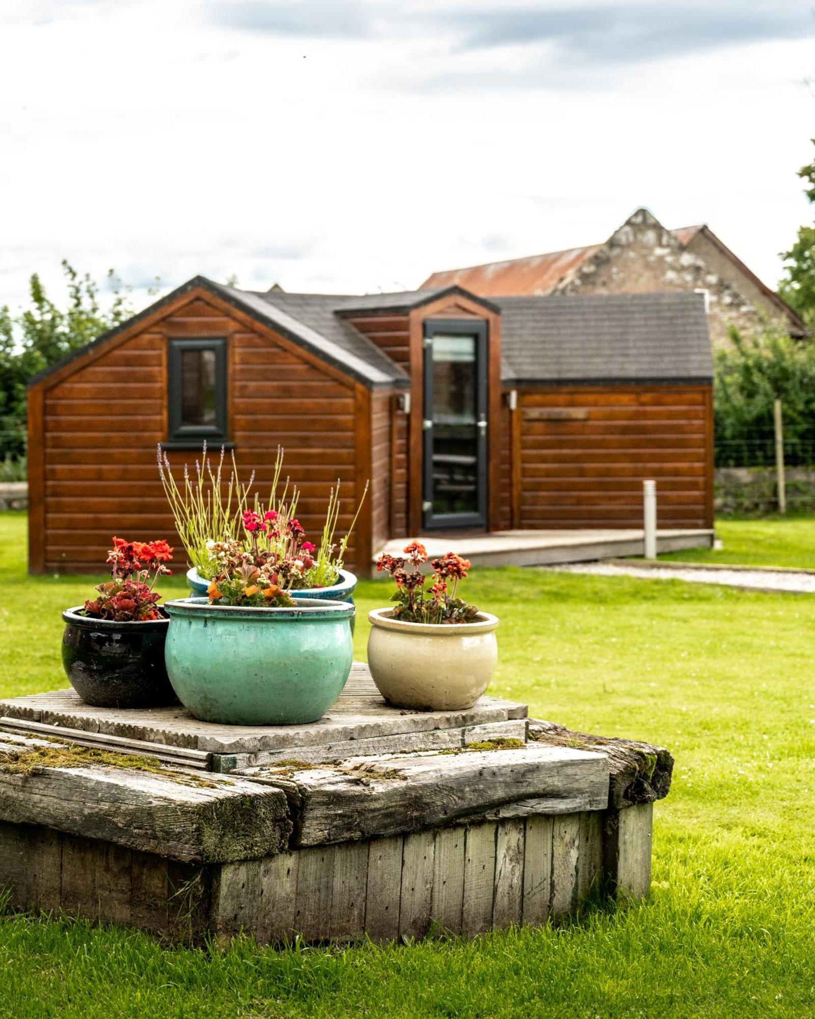 Delny Glamping And Farm Animals Invergordon Exterior foto